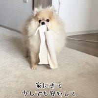 のびのびと暮らしてます