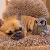 仲良しなおとちゃんとはっさくくん