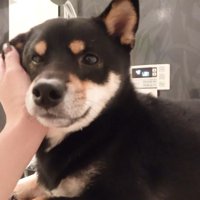 浴槽のフタに乗ってリラックス