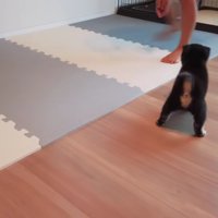 あっという間に仲良くなりそう！