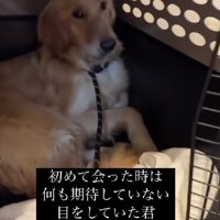 なにも期待していない目をしていた