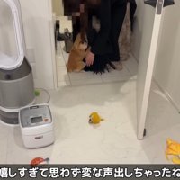 「会いたかったよ～！」