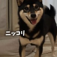 ボールで遊ぶはるちゃん2