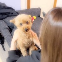 カメラ目線のふうたくん