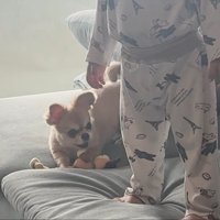 「遊ぼう！」とアピール中