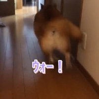 去っていく福くん