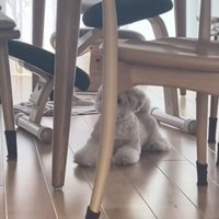 再び溶けてゆく…