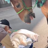 「桜子ちゃん、大丈夫？」