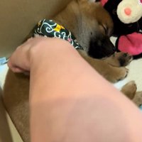 触っても反応なし