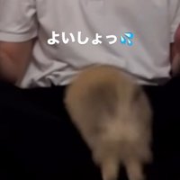 お膝の上へ