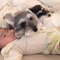 赤ちゃんを枕にするトトちゃん3