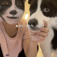 くりっとした目がなんだか似てる？