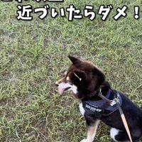 終わらない座り込み