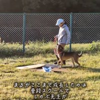 トレーニングするまる君