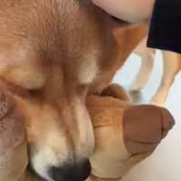 「寂しかったよ～」