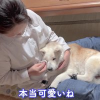 お母さんの前では赤ちゃん