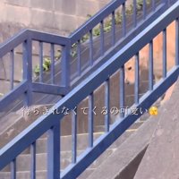 階段を降りてくるメルくん