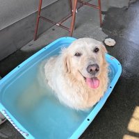 もう30分以上入っています（笑）
