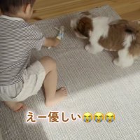 子犬におもちゃを渡す男の子
