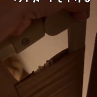 ペットゲートを下げると…