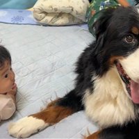 子守り中のとらじろう君