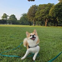 遊び
