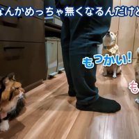 「もう1回！」とアピール