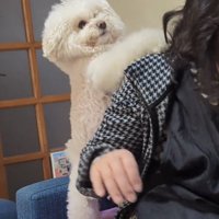 肩に前足を乗せる犬