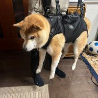 宙に浮くはるくん