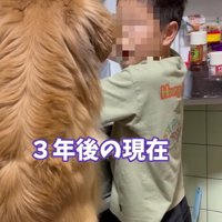 3年後も変わらない…