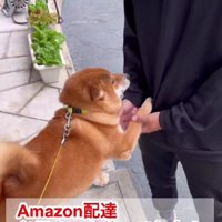 配達員さんをお出迎え