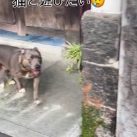 こう見えてフレンドリーです♪