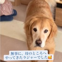 ママのところに行けた♡