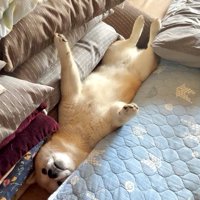 挟まる