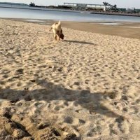 海辺でのハプニング3