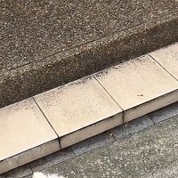 道路