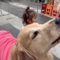 みんなで順番にね