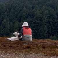 山々を眺める女性と犬