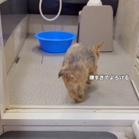 自分で向かうそらちゃん