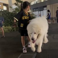 サマになってます