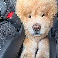 切ない表情にホッコリ