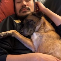 山奥で野犬として暮らしていた