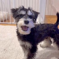 ボセくんの成長記録3