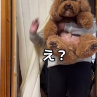 本当に子犬…！？