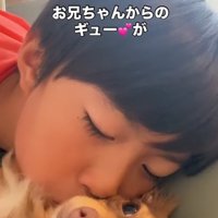 子供にハグされている小型犬