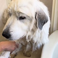 この世の終わりのようなお顔（笑）
