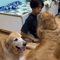 大型犬たちを撫でるお兄ちゃんナデナデの時間が始まりました！