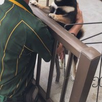 配達員さんがくると…
