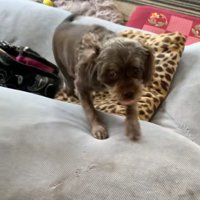 投稿者さんに近づくペコちゃん