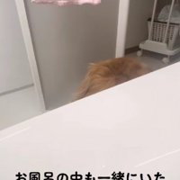 「ここで待ってる」